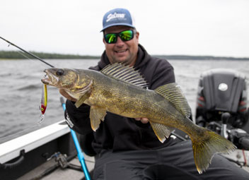 summer walleye