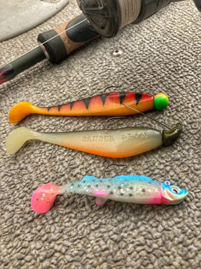 swimbaits